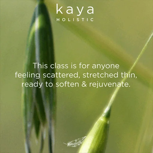 Herbal Inspirations June 28_2