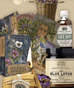 Ritual Kit oracle deck palo santo blue lotus 2