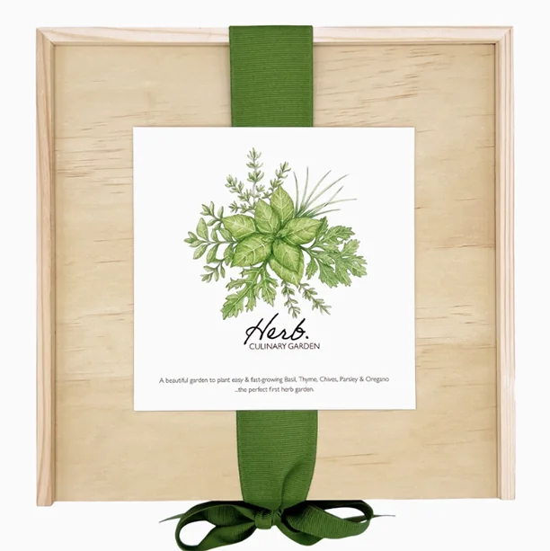 Garden Box Culinary Herbs 3