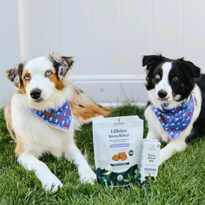 2 dogs 4th of july